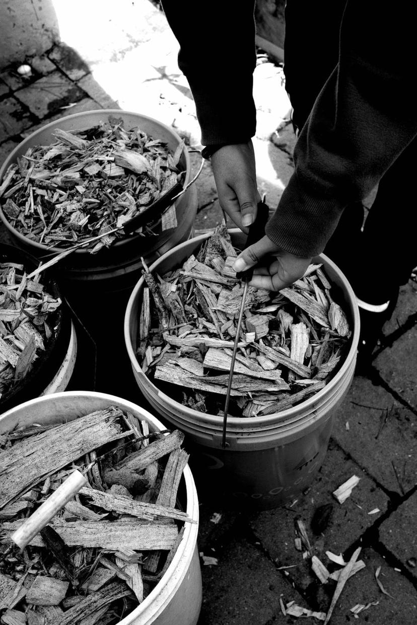 Four 5 gallon buckets filled with woodchips