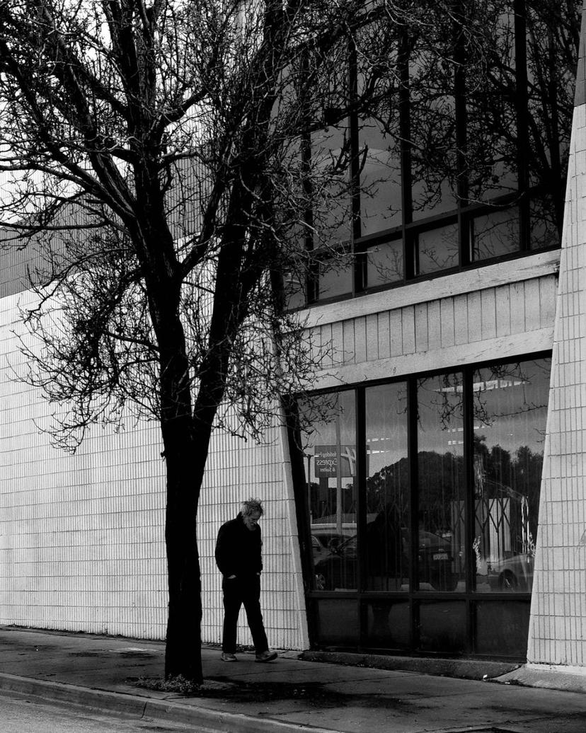 Man walking on sidewalk framed between Tree and Window